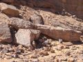 libyen072