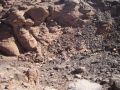 libyen083